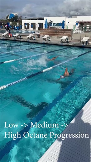 The Race Club | Want a faster freestyle without muscling it? Understanding the difference between low, medium, and high-octane freestyle is key. This... | Instagram