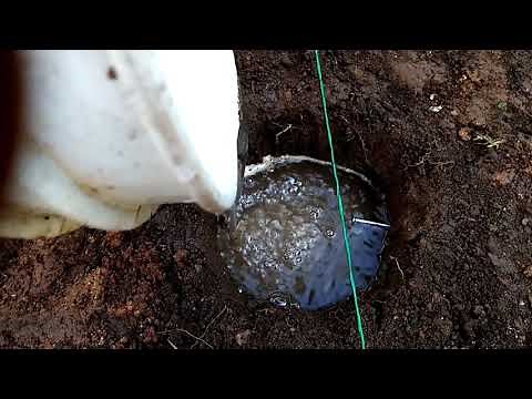 Práctica método de porchet