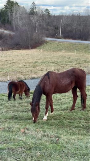 Milo, Maine #maine #mainevideographer #realestatephotography #realestatephoto #mayhem #media #mayhemmedia | Mayhem Media | Facebook