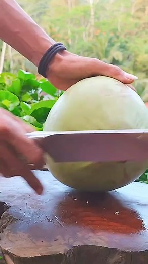 1.5M views · 8K reactions | Amazing coconut fruit cutting skills #aorreel #fbreels #foryoupage #fyp #coconut #fruits #WaterHeaterServices | Sean Anderson | Facebook