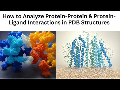How to Analyze Protein-Protein and Ligand Interaction Professionally