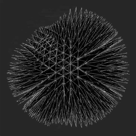 Sea urchin. #openframeworks #programming #creativecoding