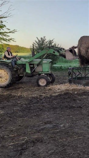 Dad on the John Deere tractor
