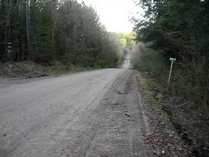 Polaris Predator Vs 400EX