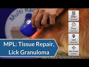 Laser Therapy Protocol: Tissue Repair and Lick Granuloma | My Pet Laser