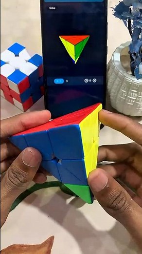 Pyraminx Cube Solved By Using App in 1Move😨|#rubikscube#cube#pyraminx