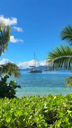 Ocean cures all, especially in the Caribbean #nature #beach #stthomas #usvi #virginislands🇻🇮