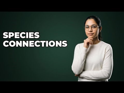 What Are Key Types of Interspecies Interactions?