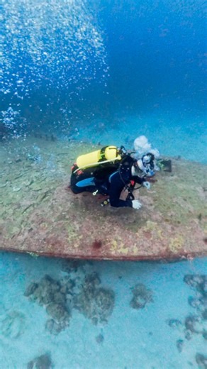 26 reactions · 3 comments | These fearless women are heading out to...