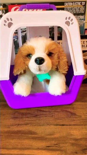 Little Live Pets My Really Real Puppy Fun for Kids! ​#littlelivepets #toys #fun #stem #cute #puppy
