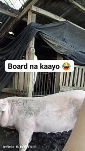 Gala sa ko | Ann Bayonas
