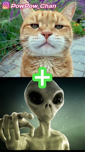 New Anomali Cat Alien #ai #brainrot #cat #memes