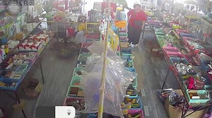 Siamese cat chases away snake intruder from shop floor in Thailand