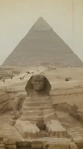 18K views · 329 reactions | Watch Dan’s full lecture and 60+ hours of...