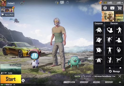 How to Use Companion in PUBG | PUBG Noob Dress Logo