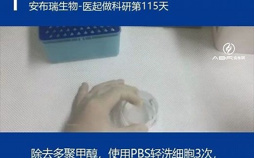 【生物医学实验室日常】PI与DAPI双染荧光技巧