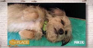 Billy is a total cuddle bug