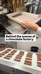 102K views · 691 reactions | Behind the scenes of a chocolate factory ❤️ ABC Radio Adelaide's Nikolai Beilharz was lucky enough to go on a special tour of Australia's oldest family-owned chocolate maker Haigh's Chocolates. Listen to more: https://shorturl.at/TqFZp "Chocolate is romantic, it's love, so it's art," Swiss-born Haighs Head Chocolatier, Ben Kolly said. Hear more from ABC Radio Adelaide on the ABC listen app or here: ab.co/Adelaide | ABC Adelaide | Facebook