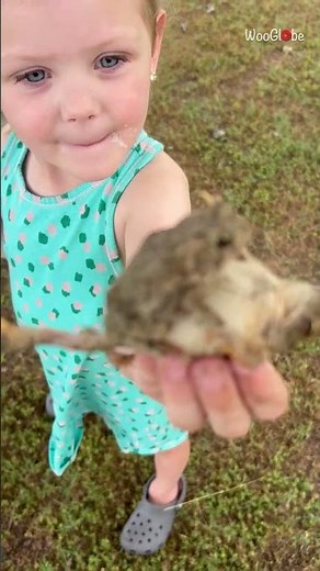 Frogs Love Interrupted: Little Girl's Hilarious Encounter || WooGlobe