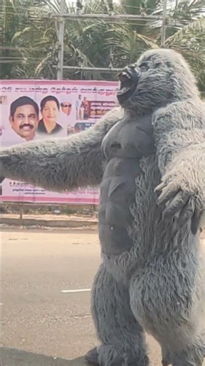 wedting funcition moncky micky mouse color peppar super