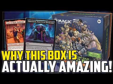 WTF is the Turtle-Team Up Box?! Who Is It Designed For and Should You Buy It!