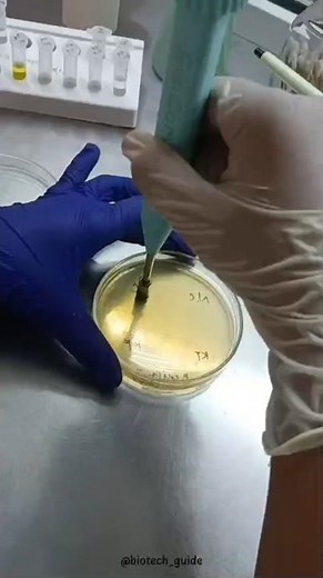 A week in the life of a biotechnologist. 🔬✨ #biotech_guide
