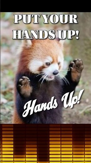 Red Panda Meme Song: Put Your Hands Up! #redpanda #memesong