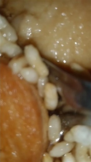 Sah Tupi ☕ Tea #shortsyoutube