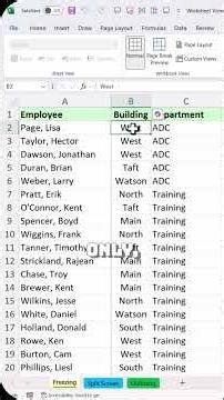 Mastering Freeze Panes in Excel: Keep Your Top Row & First Column always Visible! #shorts