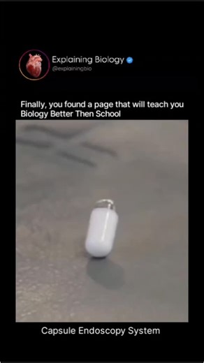 Explaining Biology on Instagram: "Capsule endoscopy is a breakthrough diagnostic system where a patient swallows a tiny pill-sized camera that travels naturally through the digestive tract, taking thousands of high-resolution images of the esophagus, stomach, and small intestine—areas that regular endoscopy often cannot reach. As the capsule moves forward using normal gut movement, it captures continuous pictures and wirelessly sends them to a recorder worn on the patient’s body, allowing doctor