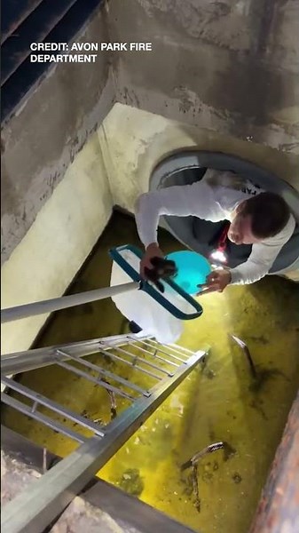 Florida firefighter crawls through pipe to rescue 3 lost chicks in Avon Park