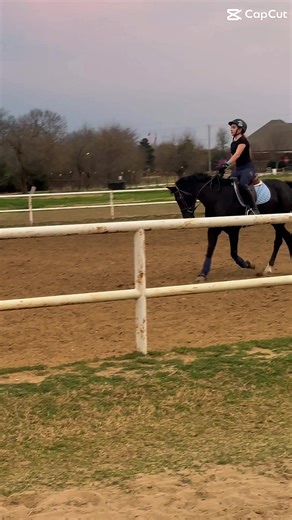 HOLY TROT BOIII(yes this was my fault)