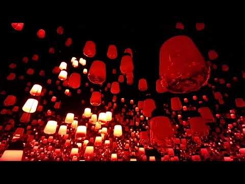 10/10 eamLab Biovortex Kyoto