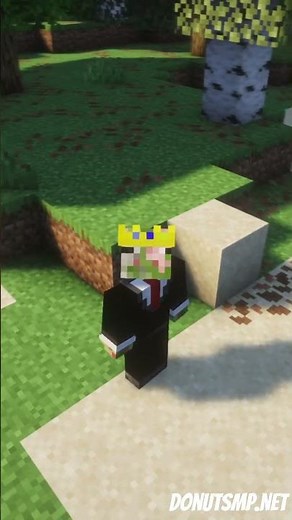 Obtaining the Media Rank On The DonutSMP!