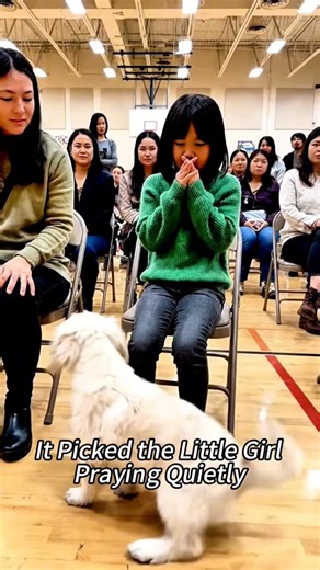 LifeSaveDaily on Instagram: "This is one of those moments that restores your faith in kindness. A brave dog, a critical moment, and an outcome that will stay with you. 🐶✨ If this touched your heart, share it with someone who loves animals. Credit to original creator.--Pettus Hashtags: #DogRescue #HeroicDogs #AnimalHeroes #WholesomeMoments #RescueDogs"