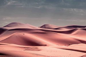 Why the Sahara desert is growing