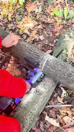 Chainsaw Cutting Fallen Tree Trunk Sawdust Flying Forest Floor #shorts