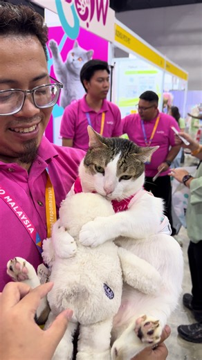 Bukan Kucing Ni, Ni Patung! Kucing Yoyo Yang Lucu & Manja