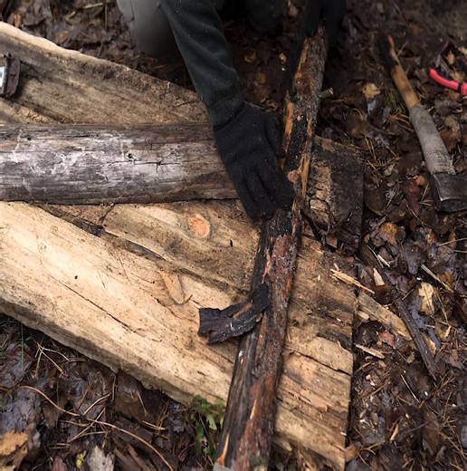 2.1K views · 47 reactions | A solo ASMR experience at a log Earth Shelter on a rainy night | Building Skills | Facebook