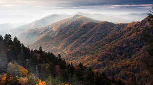 The 10 Most Popular National Parks of 2024