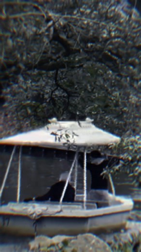 *TEASER* 10 BIZARRE ACCIDENTS at EFTELING! 😱 • Efteling • #efteling #accident #shorts