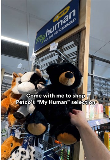 immediately added everything to cart | shopping cart