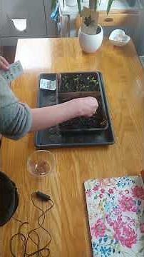 Citizen Science Research - Seed Sowing Experiment - Join us and make a difference