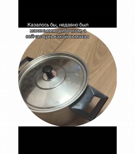 ❓nst.3_❓ (@nst.3_)’s videos with Hinoki Wood - Clavier