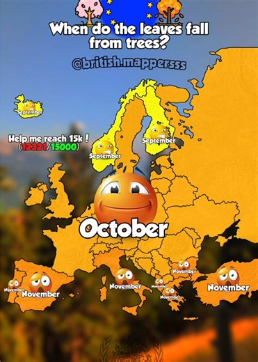 When Do Tree Leaves Fall and Grow Back?