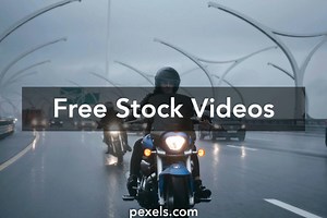 Passion Free Videos, Download The BEST Free 4k Stock Video Footage & Passion Free HD Video Clips