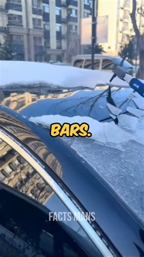 Three friends | Facts man