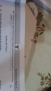 Model Activity Sheet - 2(B5) What do you think Einstein meant ... | Filo