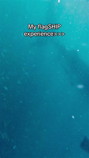 Flagler College Undergrad Experience