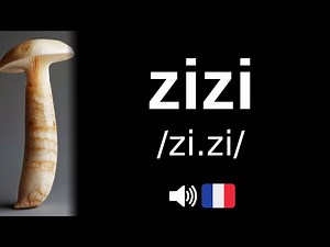 D'où vient le mot 'zizi' ?